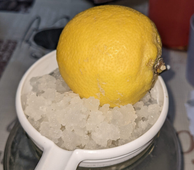 Zitrone im Wasserkefir